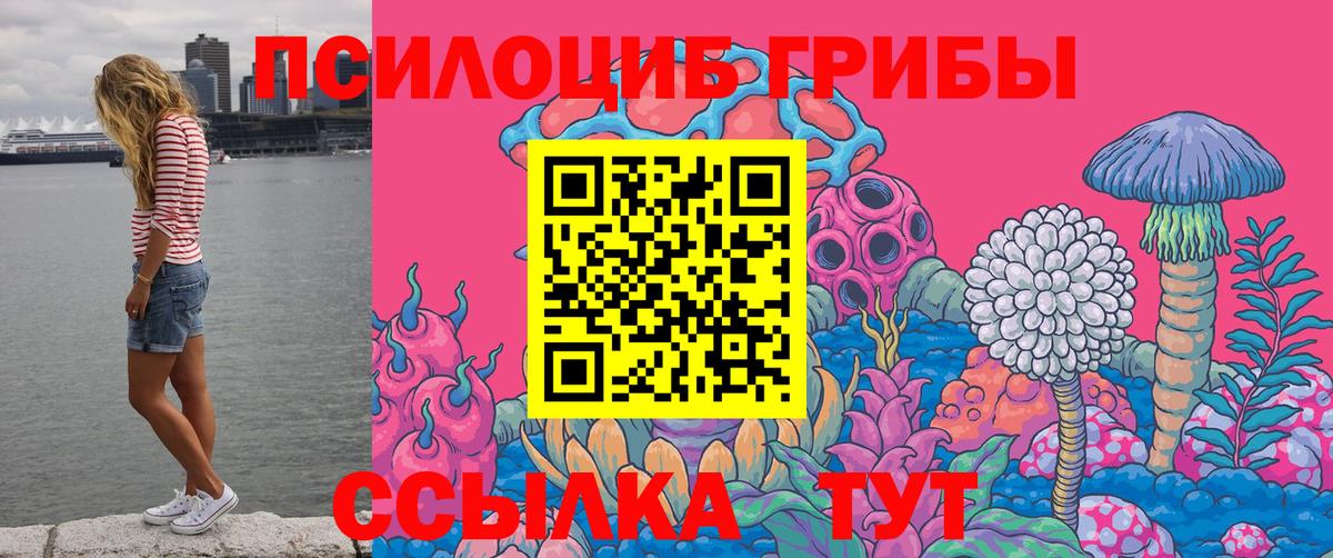 Псилоцибиновые грибы Psilocybine cubensis  Псилоцибиновые грибы Cubensis  Луга  магазин  наркотиков  Вход с VPN 
